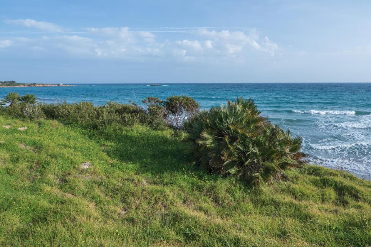 Villa Fratelli Arenella  Buitenkant foto